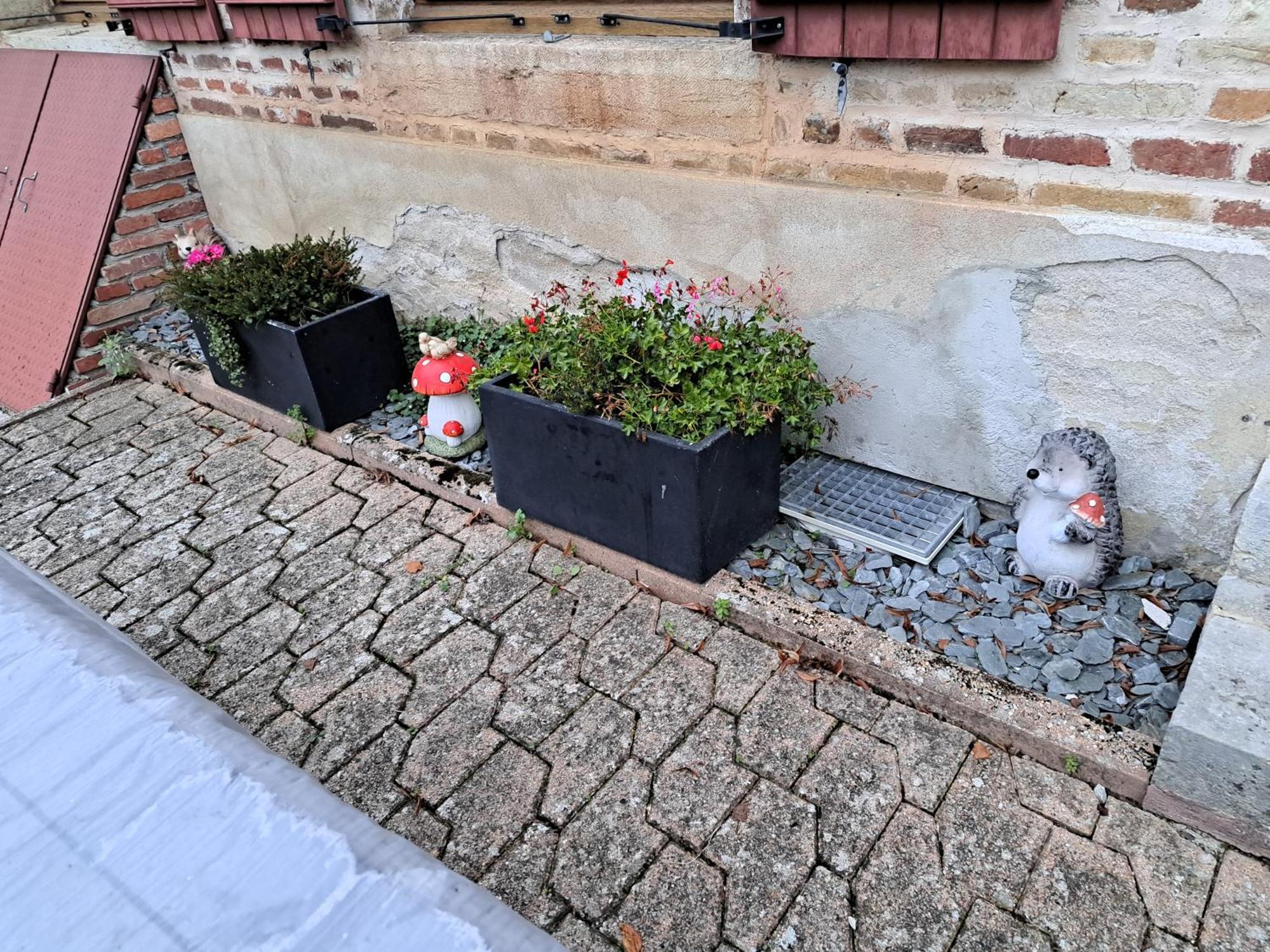 Gite Le Piege A Reves Pierre-de-Bresse Exterior foto